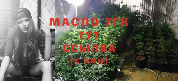 альфа пвп Новодвинск