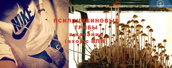 альфа пвп Нязепетровск